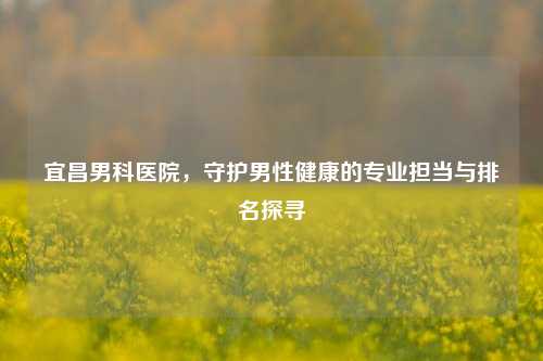 宜昌男科医院，守护男性健康的专业担当与排名探寻