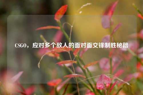 CSGO，应对多个敌人的面对面交锋制胜秘籍