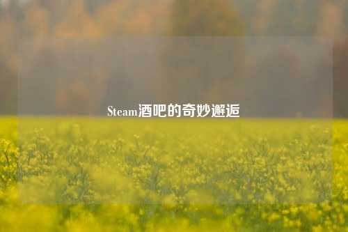 Steam酒吧的奇妙邂逅