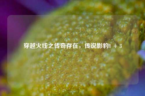 穿越火线之传奇存在，传说影豹1 + 3