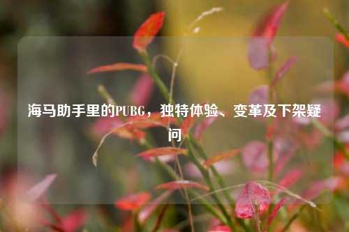 海马助手里的PUBG，独特体验、变革及下架疑问