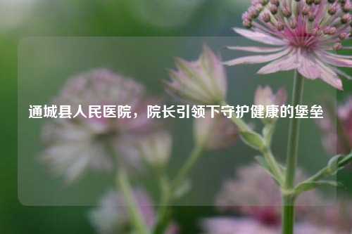 通城县人民医院，院长引领下守护健康的堡垒