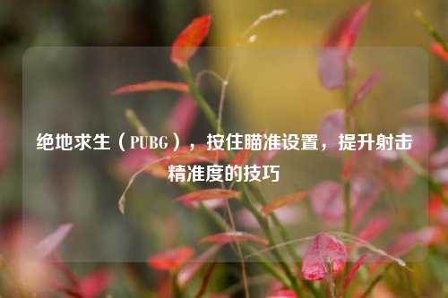 绝地求生（PUBG），按住瞄准设置，提升射击精准度的技巧