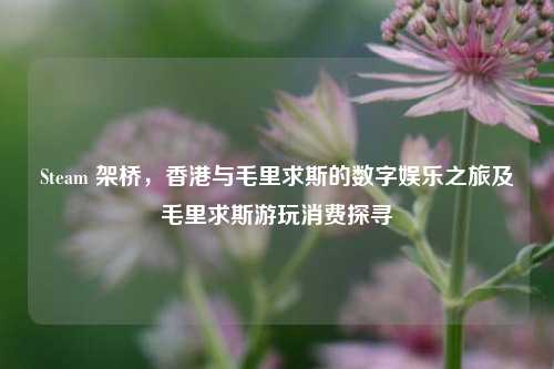 Steam 架桥，香港与毛里求斯的数字娱乐之旅及毛里求斯游玩消费探寻