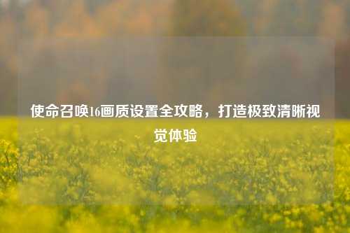 使命召唤16画质设置全攻略，打造极致清晰视觉体验