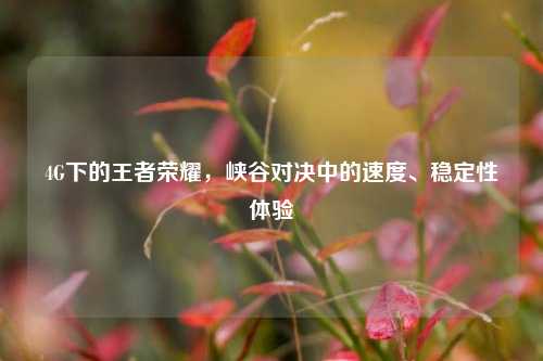4G下的王者荣耀，峡谷对决中的速度、稳定性体验