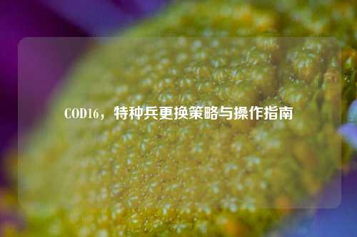 COD16，特种兵更换策略与操作指南
