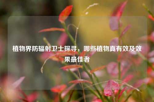 植物界防辐射卫士探寻，哪些植物真有效及效果最佳者