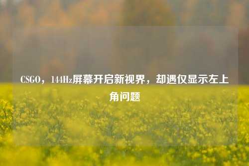 CSGO，144Hz屏幕开启新视界，却遇仅显示左上角问题