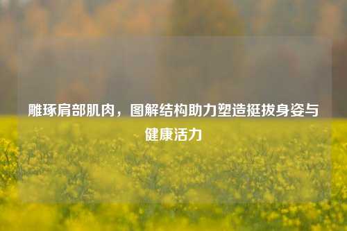 雕琢肩部肌肉，图解结构助力塑造挺拔身姿与健康活力