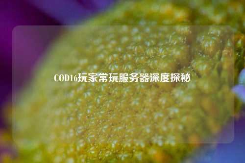 COD16玩家常玩服务器深度探秘