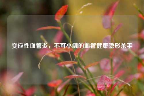 变应性血管炎，不可小觑的血管健康隐形杀手