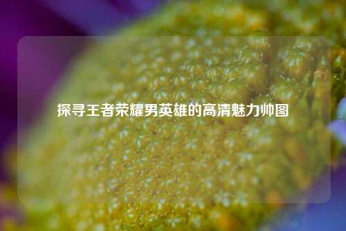 探寻王者荣耀男英雄的高清魅力帅图