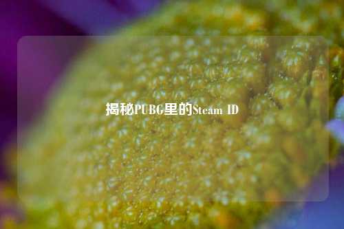揭秘PUBG里的Steam ID