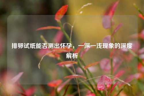 排卵试纸能否测出怀孕，一深一浅现象的深度解析