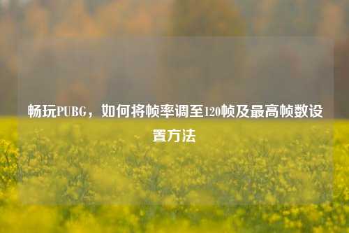 畅玩PUBG，如何将帧率调至120帧及最高帧数设置方法