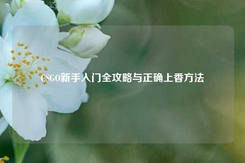 CSGO新手入门全攻略与正确上香方法
