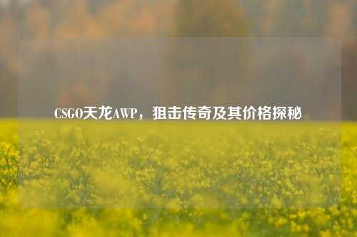 CSGO天龙AWP，狙击传奇及其价格探秘