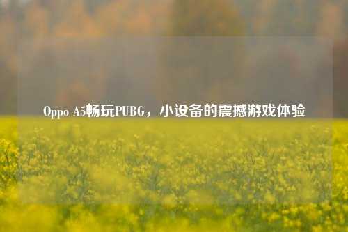 Oppo A5畅玩PUBG，小设备的震撼游戏体验