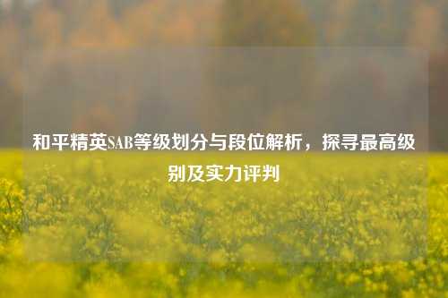 和平精英SAB等级划分与段位解析，探寻最高级别及实力评判
