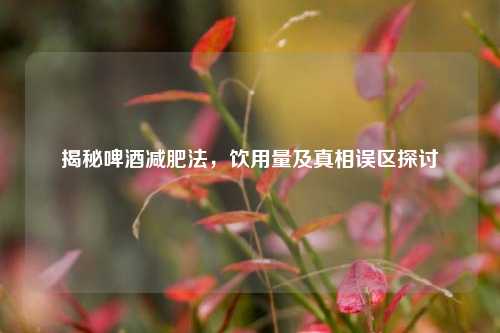 揭秘啤酒减肥法，饮用量及真相误区探讨
