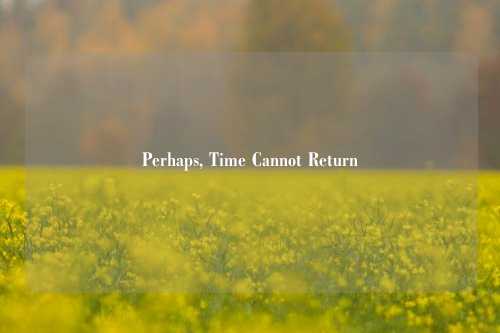 Perhaps, Time Cannot Return