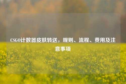 CSGO计数器皮肤转送，规则、流程、费用及注意事项
