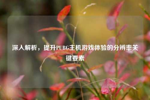 深入解析，提升PUBG主机游戏体验的分辨率关键要素
