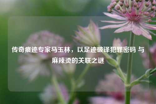 传奇痕迹专家马玉林，以足迹破译犯罪密码 与麻辣烫的关联之谜