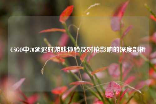 CSGO中70延迟对游戏体验及对枪影响的深度剖析