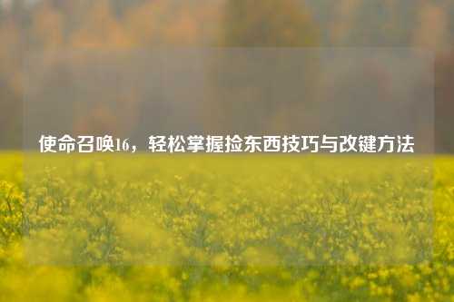 使命召唤16，轻松掌握捡东西技巧与改键方法