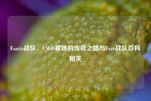 Fantic战队，CSGO赛场的传奇之路与Faze战队百科相关