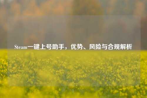 Steam一键上号助手，优势、风险与合规解析