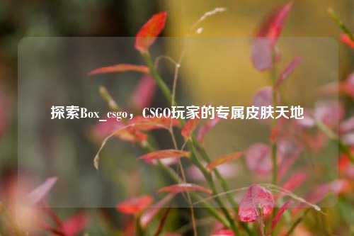 探索Box_csgo，CSGO玩家的专属皮肤天地