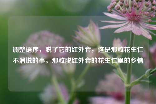 调整语序，脱了它的红外套，这是那粒花生仁不消说的事。那粒脱红外套的花生仁里的乡情