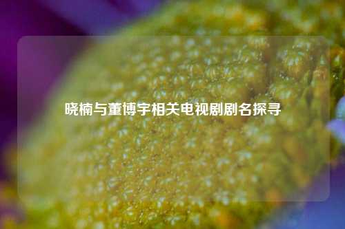 晓楠与董博宇相关电视剧剧名探寻