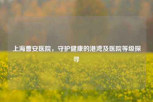 上海曹安医院，守护健康的港湾及医院等级探寻