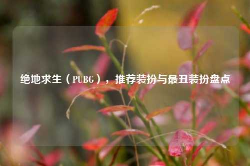 绝地求生（PUBG），推荐装扮与最丑装扮盘点