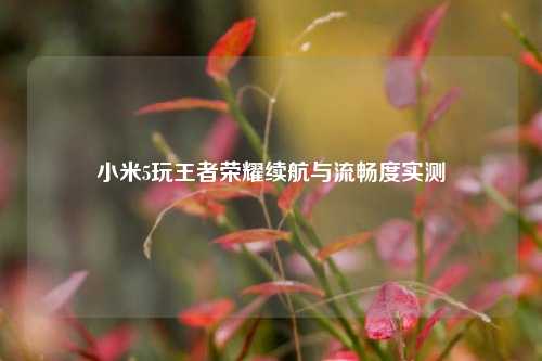 小米5玩王者荣耀续航与流畅度实测