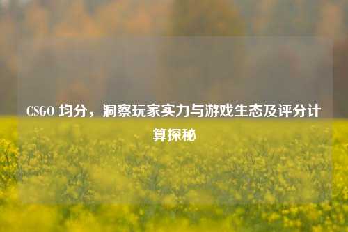 CSGO 均分，洞察玩家实力与游戏生态及评分计算探秘