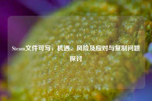Steam文件可写，机遇、风险及应对与复制问题探讨
