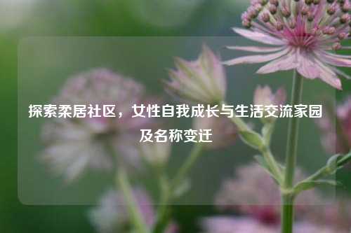 探索柔居社区，女性自我成长与生活交流家园及名称变迁