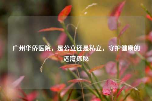 广州华侨医院，是公立还是私立，守护健康的港湾探秘