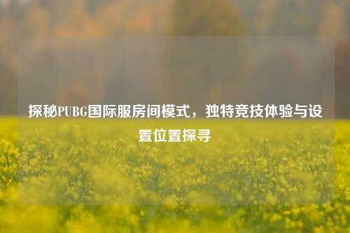 探秘PUBG国际服房间模式，独特竞技体验与设置位置探寻