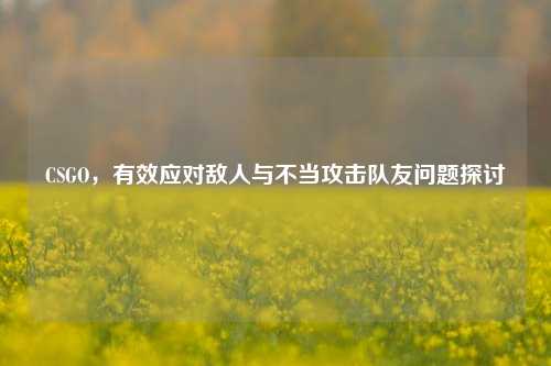 CSGO，有效应对敌人与不当攻击队友问题探讨
