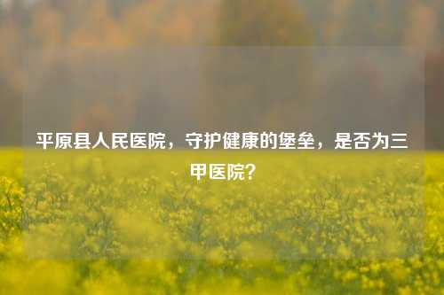 平原县人民医院，守护健康的堡垒，是否为三甲医院？