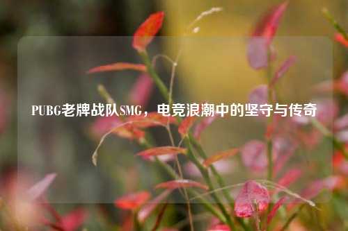 PUBG老牌战队SMG，电竞浪潮中的坚守与传奇