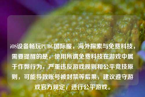 iOS设备畅玩PUBG国际服，海外探索与免费科技，需要提醒的是，使用所谓免费科技在游戏中属于作弊行为，严重违反游戏规则和公平竞技原则，可能导致账号被封禁等后果，建议遵守游戏官方规定，进行公平游戏。