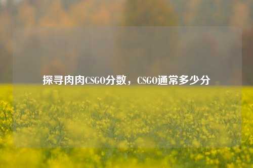 探寻肉肉CSGO分数，CSGO通常多少分
