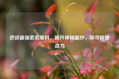 逆战最强套装爆料，揭开神秘面纱，探寻极致战力